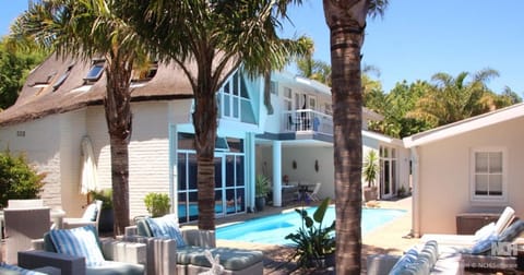 Palms in the garden